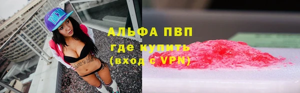 СК Карпинск