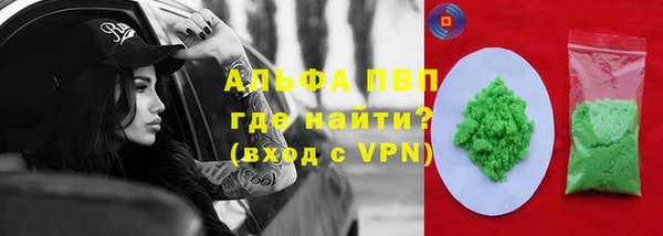 СК Карпинск