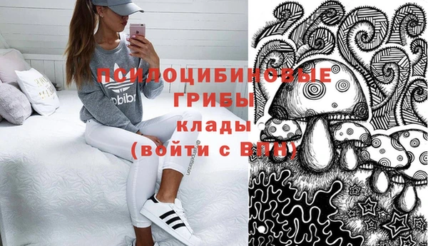 прущий лед Касимов