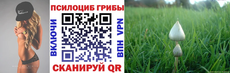 Псилоцибиновые грибы мицелий  Купить где  Игра 