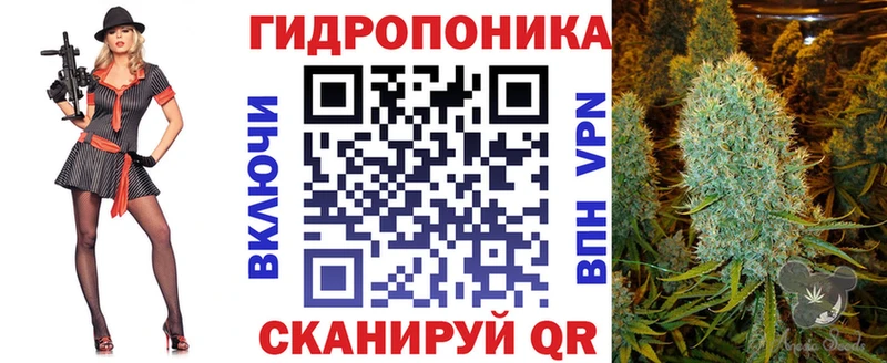 Бошки Шишки OG Kush  Купить закладки  Игра 